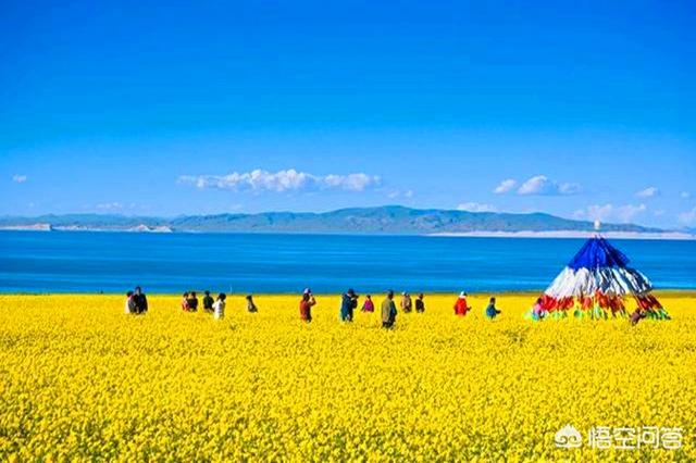 中卫至青海湖旅游攻略路线， 中卫至青海湖旅游攻略路线图
