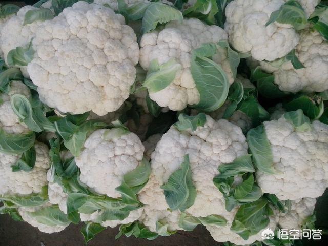 花菜-花菜怎么做好吃又简单