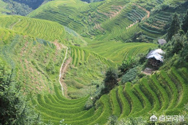 桂林景点门票价格60岁， 桂林景点门票价格60岁免票吗