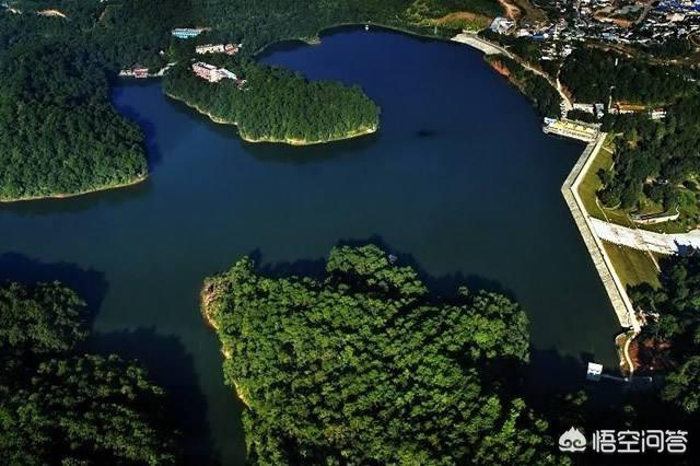 云南普洱市思茅区采摘园好一点的农家乐最好耍的有哪些,思茅环境好的农家乐