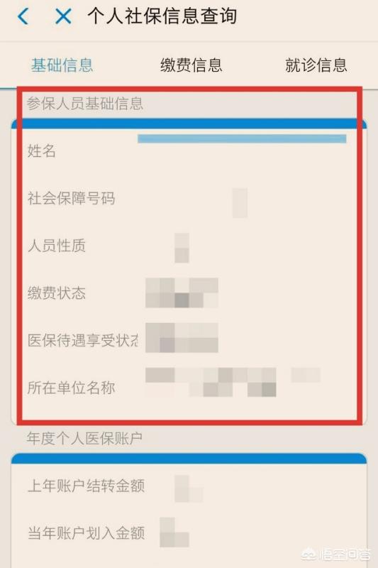 人寿保险如何查询个人保单，中国人寿保单查询入口