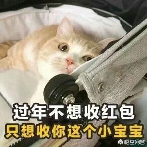 求一些撩人的土味情话呀？王者荣耀cpdd撩人语录？