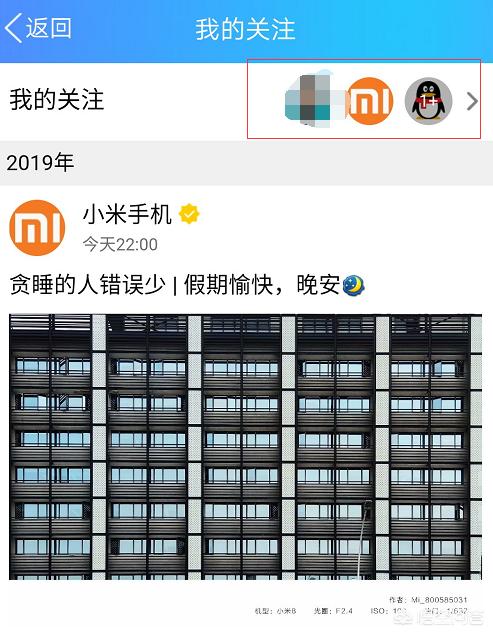 QQ如何查看我的关注？：qq查询