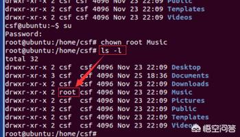 linux命令怎么退出编辑文件内容？linux修改文件或目录的所有者(chown)和用户组？