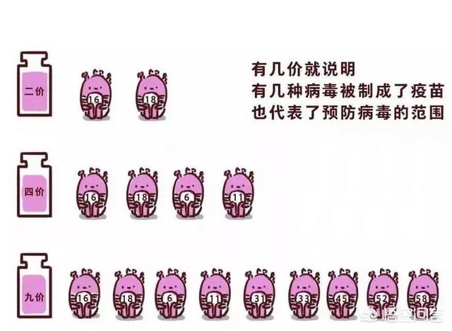 西安市Hpv是什么疫苗