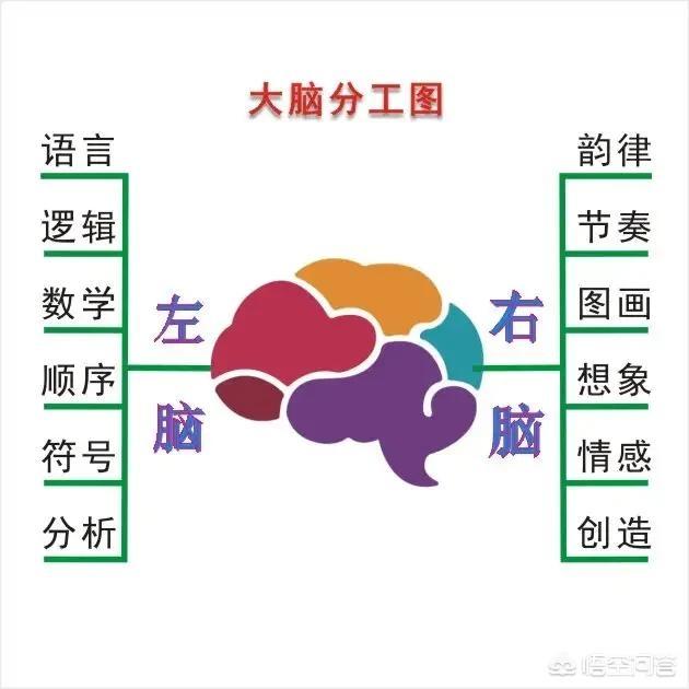 怎么改善人的思维能力(图7)