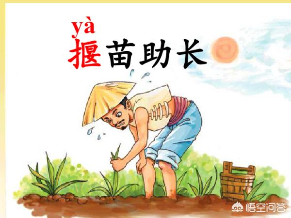揠苗助长的故事让我明白了什么