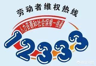 我的社保卡查询个人账户，社保卡个人账户金额查询