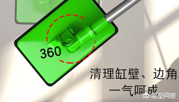 鱼缸里长青苔怎么清理,第3张