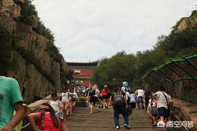 老人泰山旅游攻略，老人泰山旅游攻略一日游