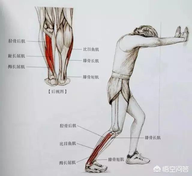 女性手上有很多小疙瘩（女生手上长了个硬疙瘩摸起来疼）(图1)