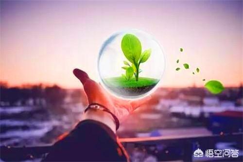 未来什么行业最有发展前景(图3)