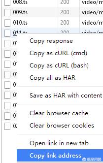 网上视频下载（我要自学网上的视频怎么下载？）