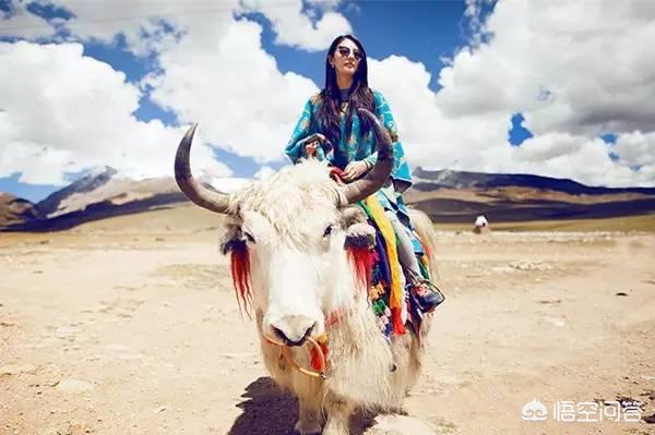 草原旅游每日穿搭， 草原旅游每日穿搭图片