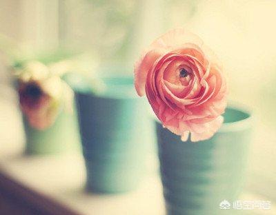 世界上最柔软的人_世界上最柔软的人类