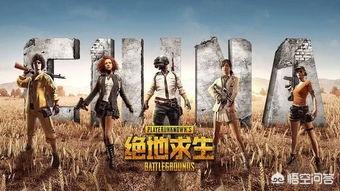 哪些网络游戏装备靠打的？什么网络游戏靠技术？