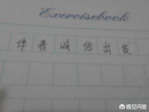 关于诚信的议论文700字（关于诚信的议论文七百字）