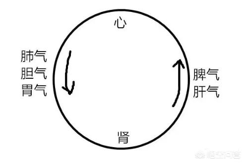 身体湿气重怎么吃除湿(图5)