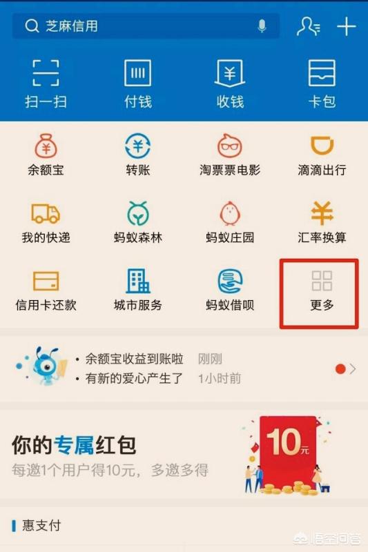 人寿保险如何查询个人保单，中国人寿保单查询入口