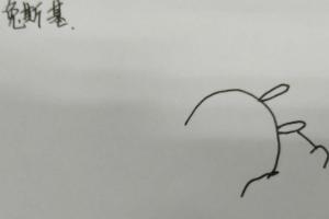 画一只公主小兔子 画画,画一只小兔子