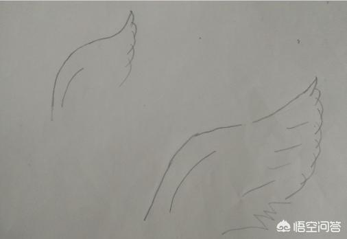 画翅膀教程,画翅膀教程简单好看