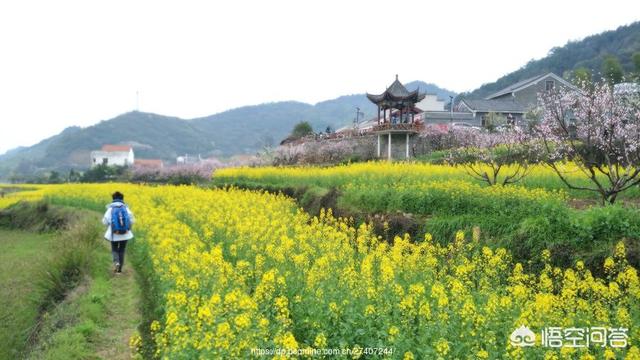 鄂州旅游景点有哪些景点-鄂州旅游景点有哪些景点介绍