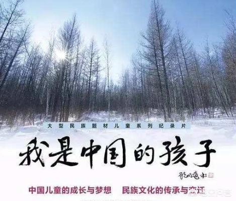 [电视大全]2020十部公认最好看的电视连续剧？