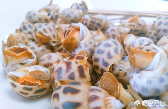 惠州市惠东县纸飞机账号购买