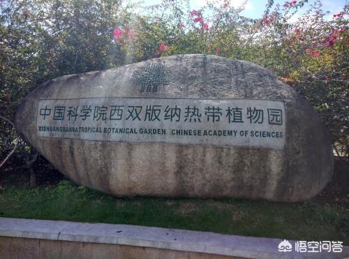 西双版纳告庄景点门票价格， 西双版纳告庄门票价格是多少