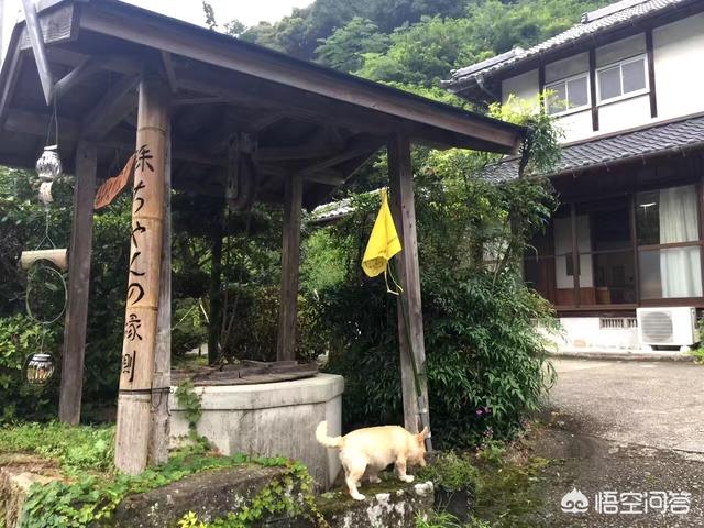 日本八九月的天气如何