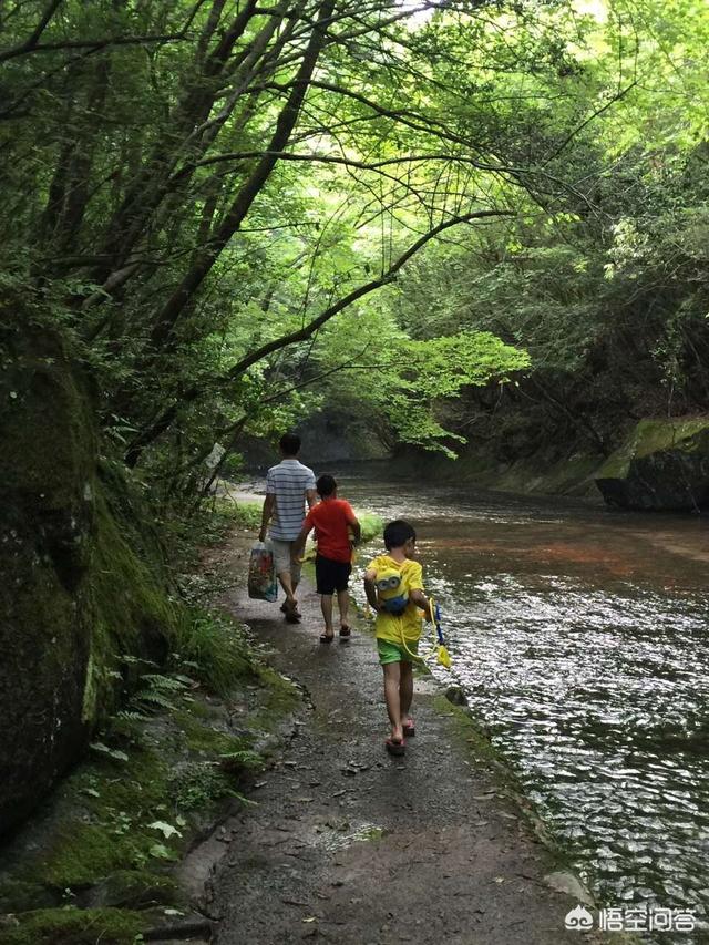 日本八九月的天气如何