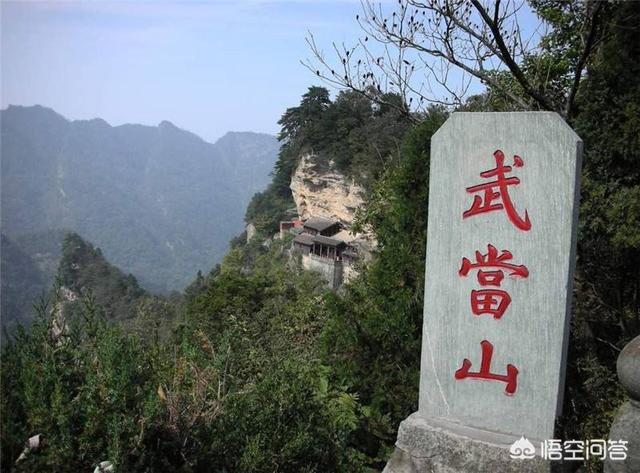 帆船海上遭虎鲸猛撞的原因