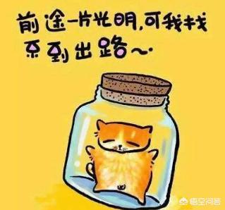 汽车电脑板多少钱,汽车电脑板多少钱一个