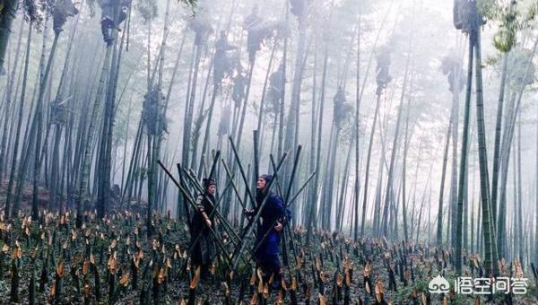 爵士击鼓电影有哪些