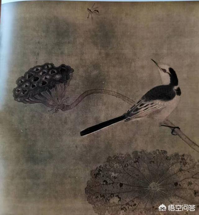 没骨花卉临摹?没骨花卉画!