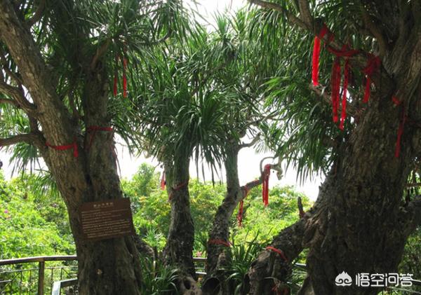 大小洞天门票价格-大小洞天门票价格优惠