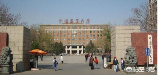 中国大学生考研信息网(中国大学生研招信息网)