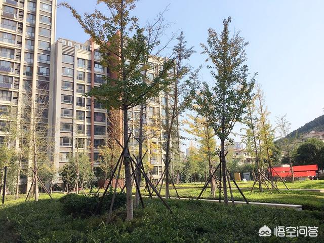 济南市鲁能楼盘怎么样啊