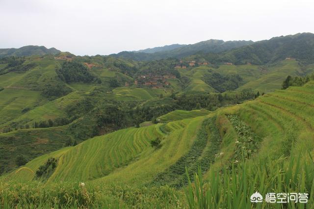 桂林景点门票价格60岁， 桂林景点门票价格60岁免票吗