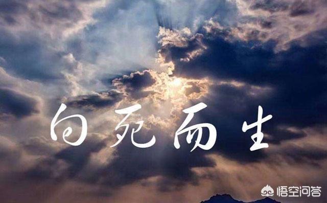 向死而生（向死而生的意思）