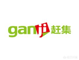 数码器材公司如何搭建网站