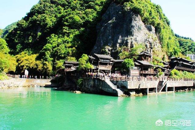帆船海上遭虎鲸猛撞的原因