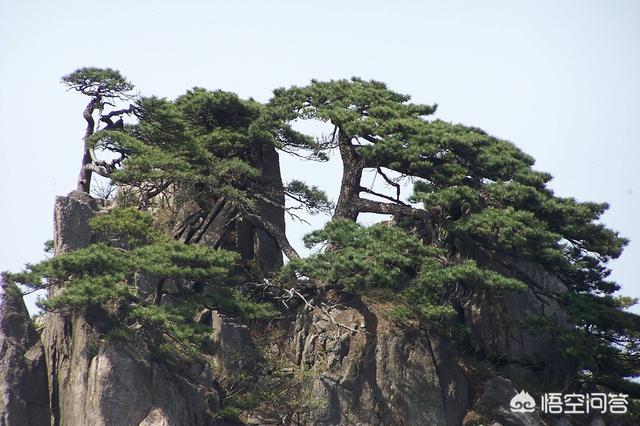 安徽景点门票优惠，安徽景点门票优惠政策 2020