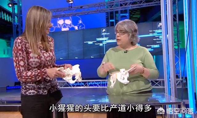 女人没有孩子痛苦一生(图5)