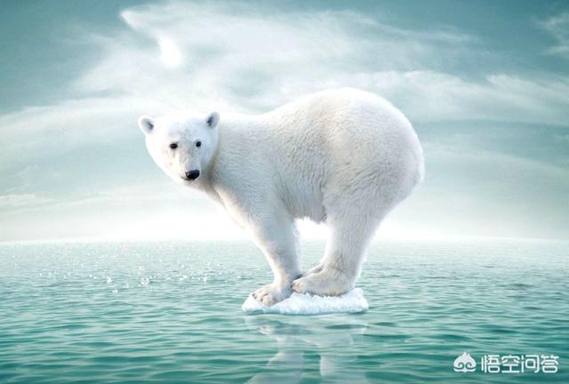 中国冰雪经济发展报告(2020)