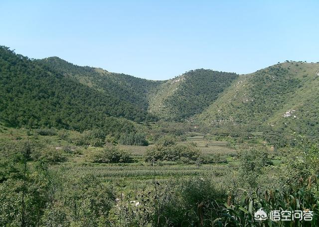 云南昆明市西山区摘枇杷民宿大全,昆明附近摘枇杷