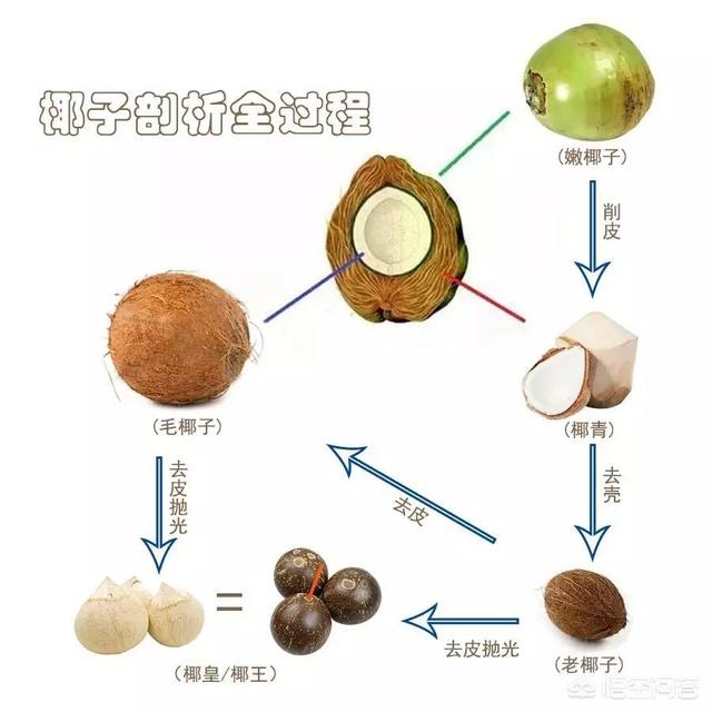 椰子鸡搭配什么最搭档(图2)