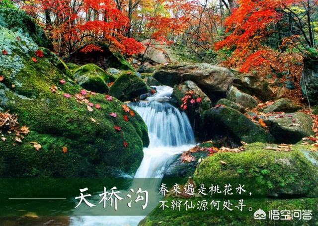 山东辽宁旅游景点大全， 山东辽宁有什么好玩的