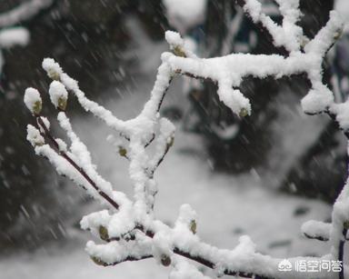 [伊人自拍]伊多拍是什么软件？