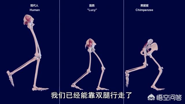 女人没有孩子痛苦一生(图4)